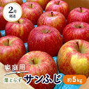 【ふるさと納税】2月発送 家庭用 葉とらず サンふじ 約5kg【弘前市産・青森りんご】　果物類・林檎・りんご・リンゴ　お届け：2025年2月1日～2025年2月28日