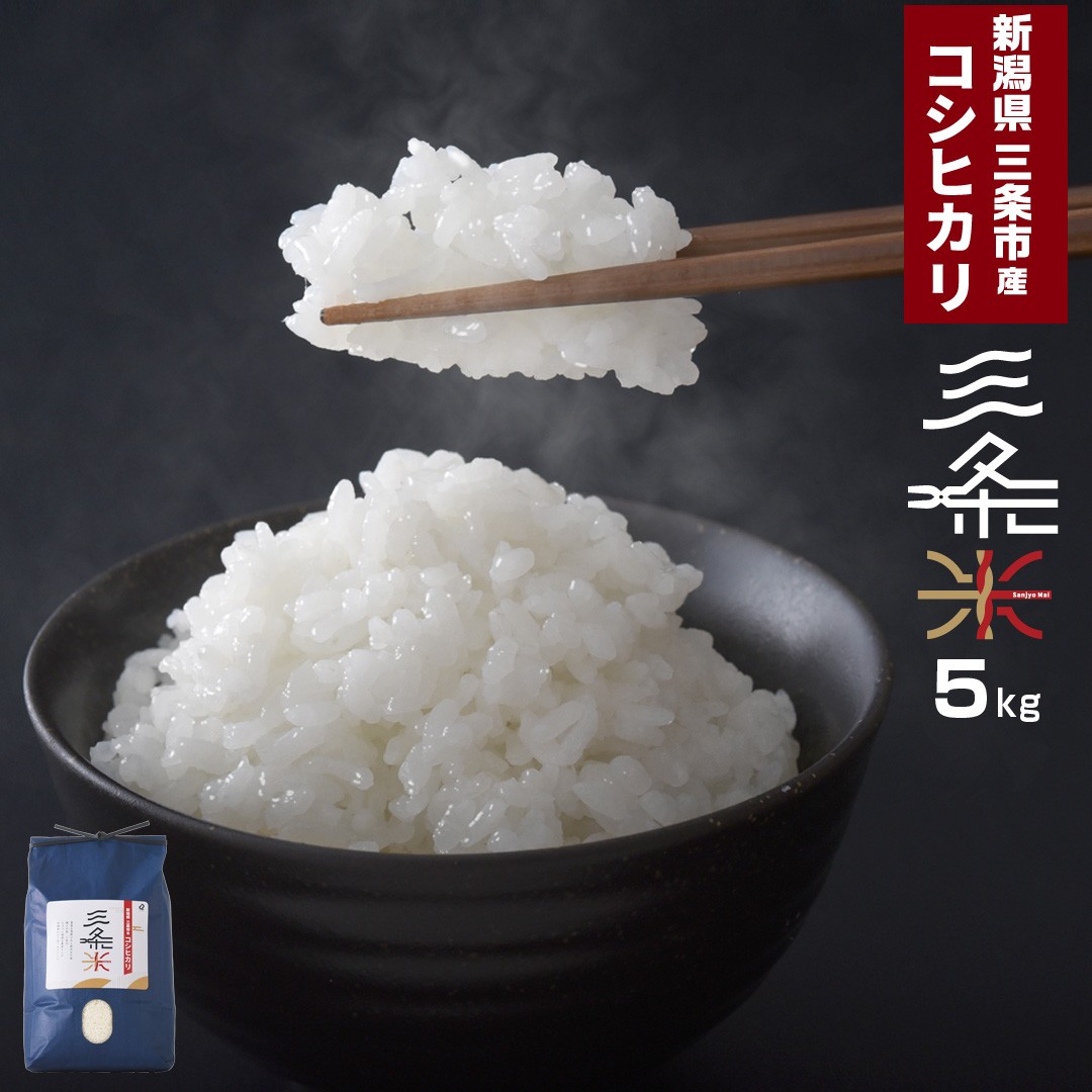 
            新潟県三条市産 コシヒカリ 三条米 5kg 令和7年産 一人暮らし 【010S393】
          