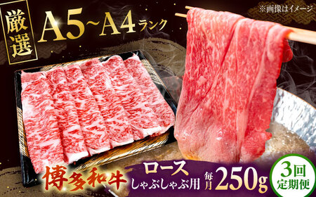 【全3回定期便】【数量限定 博多和牛】ロース しゃぶしゃぶ用 250g　桂川町/株式会社チクゼンヤ[ADBZ042] 牛肉 赤身 国産 定期便
