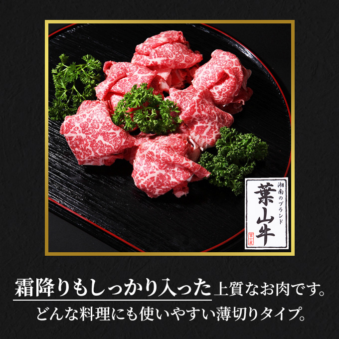 【 ふるさと納税 】 葉山牛 特上 切り落とし 1kg すき焼き 焼肉 冨士屋牛肉店 バーベキュー 箱入り 贈答  お中元 ギフト 小分け 使い切り A5  黒毛和牛 神奈川県 【 逗子市 】