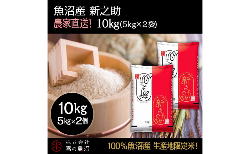 令和8年産！魚沼産 新之助【農家直送!】5kg×2袋 お米 米 コメ