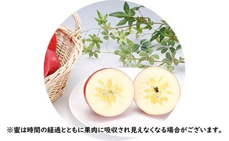 りんご 【 1月発送 】 サンふじ （ みつまるくん ）約 2.5kg 糖度13度以上 【 弘前市産 青森りんご 】