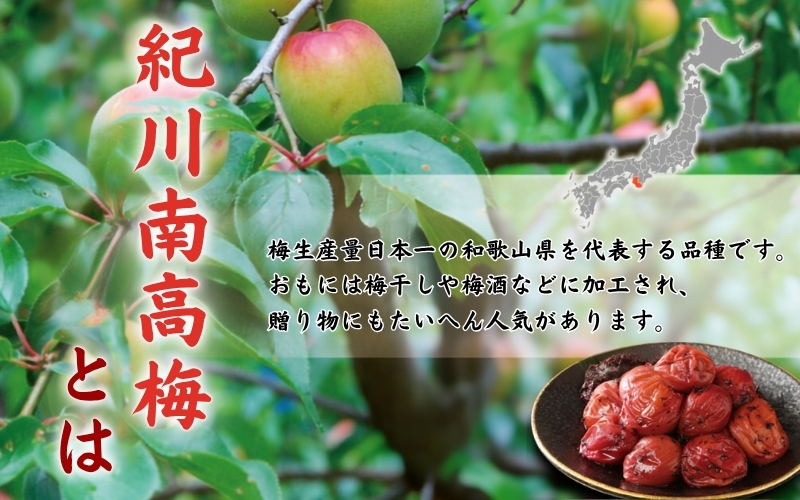 紀州南高梅　木箱入り　長寿松竹梅【ハチミツ入】 塩分5%（1kg）なかやまさんちの梅干　うめ　ウメ【nky011-10k】