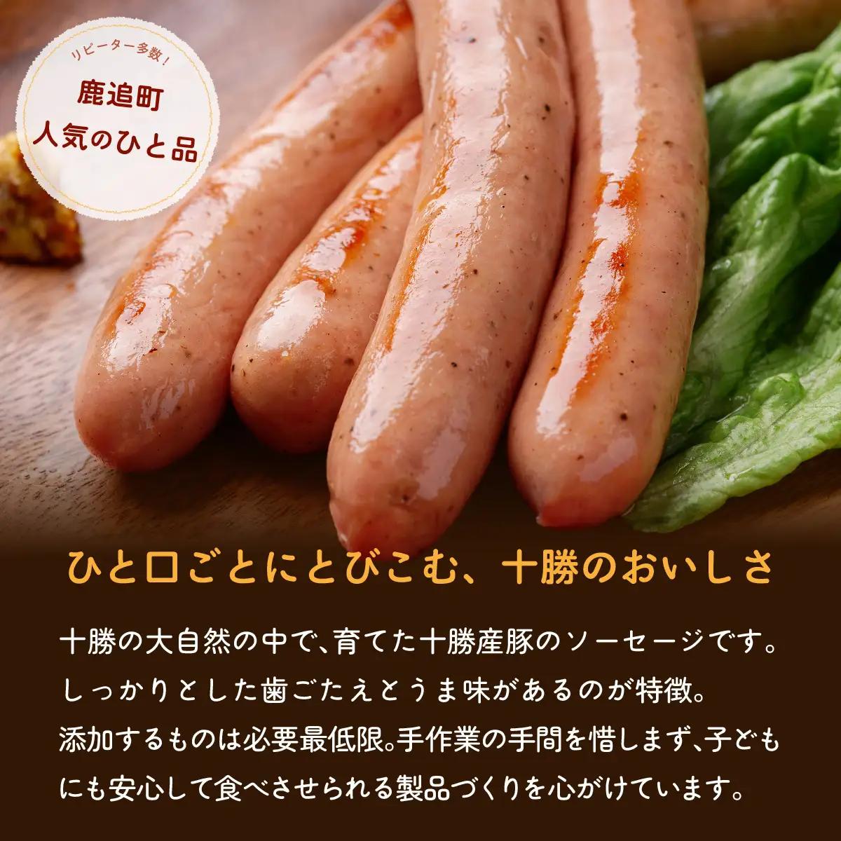 ポークソーセージ 1.6kg（160g×10） SKD021