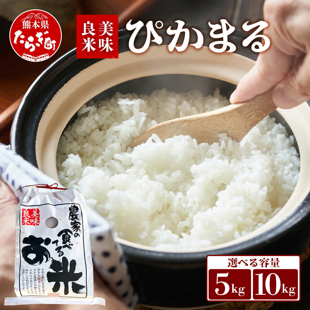 【ふるさと納税】≪ R6年産 米 / R7年産 新米予約 ≫ 有機栽培 ぴかまる 5kg 米 新米 米どころ 多良木町 産 農家が食べる お米 ごはん ご飯 農家直送 産地直送 甘み 米 白米 精米 熊本県 多良木町 食味 受賞歴 1万円台