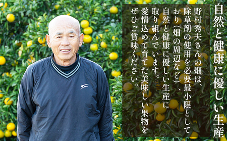 【2026年10月下旬より順次配送】次郎柿 3kg 高知県 香南市 果物 くだもの フルーツ 柿 かき カキ nm-0003