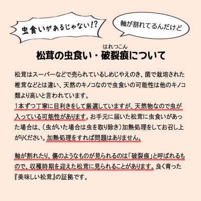 【2024年9月中旬～10月中旬発送予定】松茸マイスター厳選!旬の岩泉産松茸　250g(前後)【配送不可地域：離島】