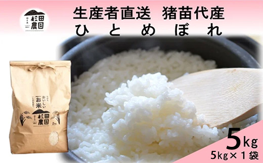 【令和7年度産】 米 ひとめぼれ 5kg 白米 精米 ※沖縄・離島への配送不可