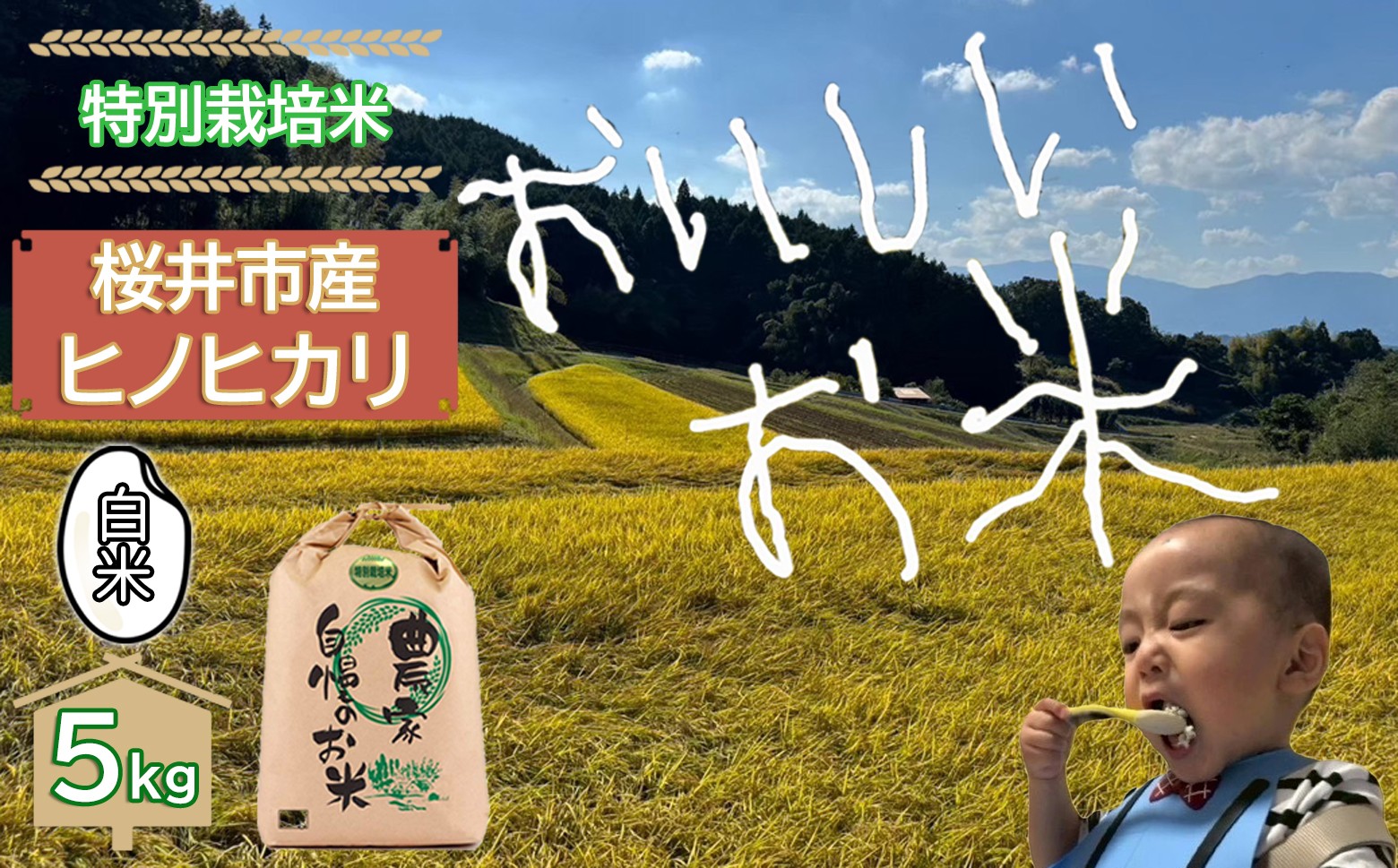 
            BC-11.【特別栽培米】桜井市高家産 ヒノヒカリ 5kg（白米）
          