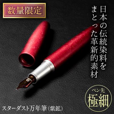 ふるさと納税 佐伯市 STARDUST 万年筆 (紫鉱 (しこう):極細・EF) | 