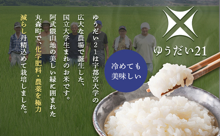 令和7年産 宮城県丸森町産 ゆうだい21 精米10kg (5kg×2個)【52002】