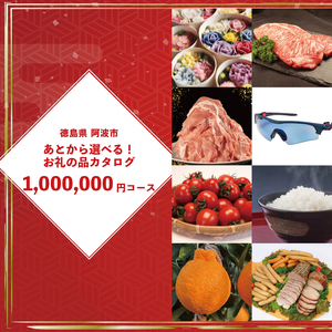 ゆっくりえらべる カタログ 100万円 コース あとから選べる 鮮魚 肉 米 酒 定期便 スイーツ フルーツ 選べる ギフト セレクト 【 徳島県 阿波市 】