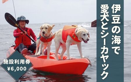 愛犬と一緒にシーカヤック 湊カフェ＆Pirates 施設利用券〈6,000円分〉　【 カヤック 犬 】