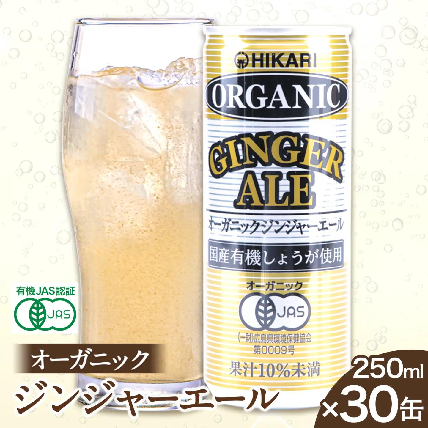 ジンジャーエール 30缶 光食品 