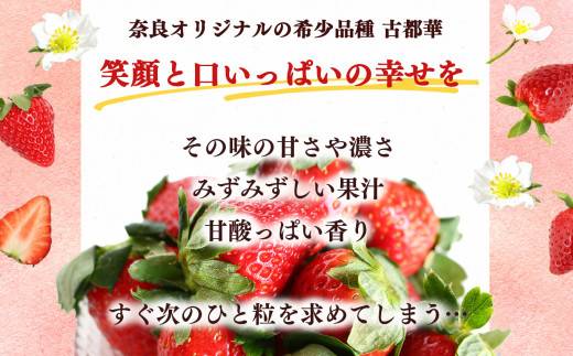 【定期便2回】平群の古都華 2L～3Lサイズ （2パック 1ケース） 計2パック | 先行予約 1月 2月 お届け いちご 苺 古都華 フルーツ 果物 くだもの ブランド 苺  甘い 大人気 旬 送料