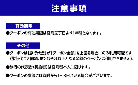 HISふるさと納税クーポン25，000円分 五島市／株式会社エイチ・アイ・エス[PGU002]