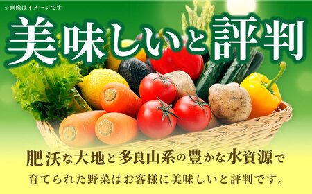 大村産とれたてお野菜おまかせセット(8～10種) 大村市 かとりストアー[ACAN015]