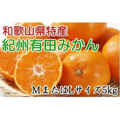 [秀品]和歌山有田みかん5kg(MサイズまたはLサイズのいずれかをお届け)  ※2025年11月中旬～2026年1月中旬頃に順次発送予定