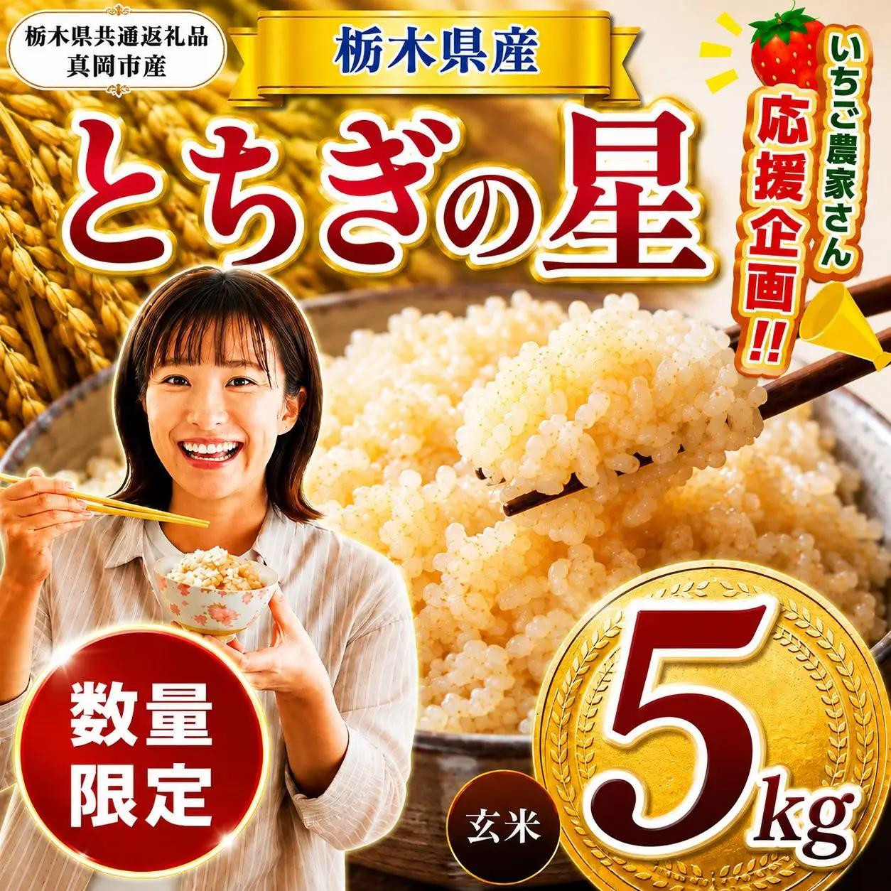 先行予約【令和8年度産】栃木県産とちぎの星 5kg | 【栃木県共通返礼品】 