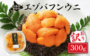 ≪規格外品300g≫無添加 エゾバフンウニ 塩水パック 300g　配送期間C：1月下旬～3月下旬迄