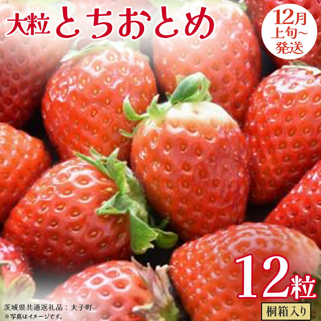 【ふるさと納税】桐箱入り 大粒 とちおとめ 12粒【2025年12月上旬発送開始】(茨城県共通返礼品：大子町) いちご 苺 果物 フルーツ 果実