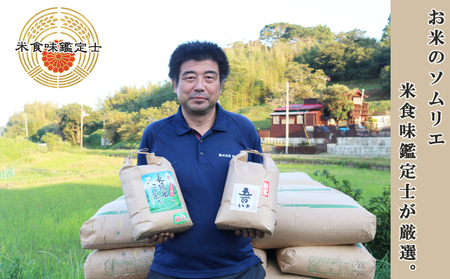 《令和７年 新米》【米屋新蔵】千葉県の新品種『長狭米 粒すけ』３kg　[0010-0364]