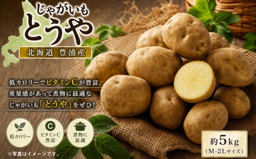 【 先行予約 】 北海道 豊浦産 じゃがいも とうや 約5kg M - 2L サイズ ジャガイモ イモ いも 芋 野菜 やさい 国産 煮物 肉じゃが カレー シチュー 低カロリー ビタミンC 【 2026年9月上旬～10月下旬発送 】