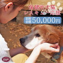 【ふるさと納税】＜保健所犬猫レスキュー【返礼品なしのご寄附】＞寄附金額50,000円※お礼状をお送りいたします。 返礼品なし 保護 動物愛護 いぬ ねこ イヌ ネコ 応援 宮崎県 国富町 いのちのはうす保護家 0624_in