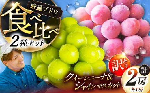 【先行予約：2026年8月中旬より発送】【ご自宅用】人気の2品種を食べ比べ！シャインマスカット 1房 クイーンニーナ 1房（約950g）簡易包装 訳あり マスカット ますかっと シャインマスカット しゃいんますかっと クイーンニーナ くいーんにーな ブドウ 葡萄 食べ比べ 果物 くだもの フルーツ 大粒 人気ぶどう 季節限定 訳ありぶどう 農家直送 島根県雲南市/ギアファーム [AIAB013]