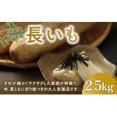 ふるさと納税 大空町 大空町産長いも2.5kg