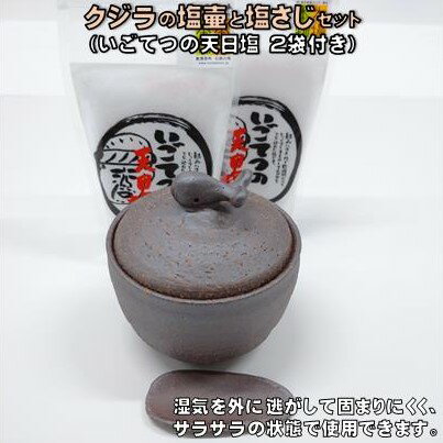 【ふるさと納税】 クジラ の 塩壷 塩さじ 天日塩 2袋 付き 日常屋 食器 さじ 調味料入れ ツボ つぼ 壷 塩 セット 調味料 保存容器 陶器 くじら 鯨 高知県 高知県 黒潮町