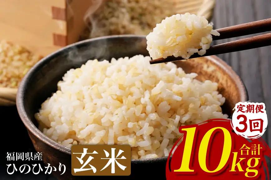 【3回定期便】 ひのひかり 米 お米 玄米 10kg 令和8年産 新米 【JA福岡くるめ にじの耳納の里】 A01-011-BW03-310