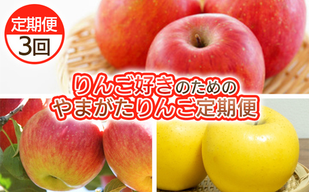 【定期便3回】りんご好きのためのやまがたりんご定期便【令和8年産先行予約】FS25-749