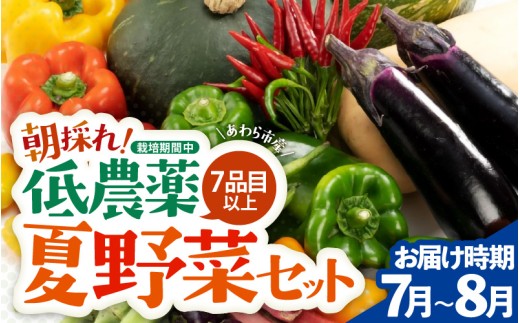 【先行予約】農家直送 夏野菜セット 1箱 7品目以上 《元気に育った新鮮野菜！》※2026年7月中旬以降発送 [aw028-a009]
