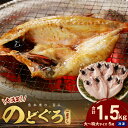 【ふるさと納税】【レビューCP対象】【大満足！産地直送 肉厚ジューシーな のどぐろ！】のどぐろ専門店シーライフ のどぐろ 一夜干し 5枚で計1.5kg「大満足セット」干物 干もの セット 詰め合わせ 人気 贈り物 贈答 ギフト 【1572】