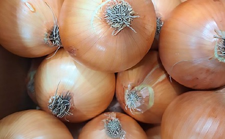 【先行予約！】【野菜ソムリエサミット金賞】淡路島玉ねぎ5kg【仲田青果の淡路島いち玉ねぎ】◆配送６月中旬～翌年２月下旬