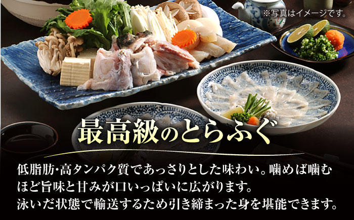 【泳ぎとらふぐ】＜白子付＞ ふぐ刺・ふぐ鍋セット【一心】 [HAB003]