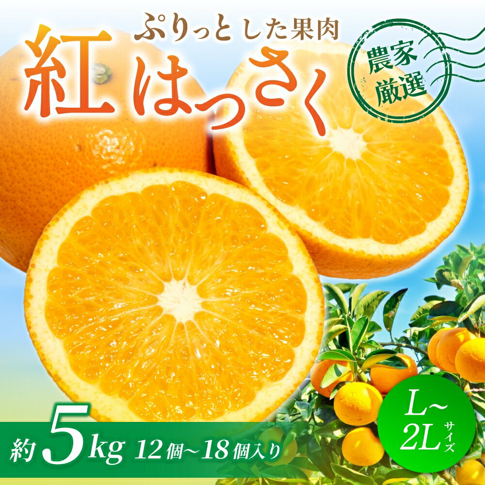 【ふるさと納税】 【先行予約】【数量わずか】あふれる果汁！ 希少な紅はっさく 秀品 5kg L〜2L 2026年1月初旬～2026年3月末頃に順次発送予定（お届け日指定不可）/ ハッサク 八朔 紅八朔 紅はっさく フルーツ 柑橘 蜜柑 果物 くだもの