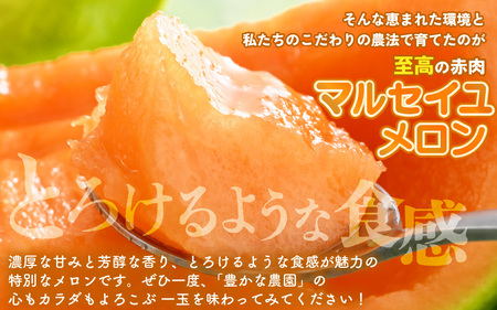 【先行予約】 安心安全！減農薬！こだわり農法で育てたマルセイユメロン 2玉 (1玉あたり：1.3kg以上) 【2026年6月中旬以降順次発送予定】 【メロン めろん 赤肉 フルーツ デザート 果物 く