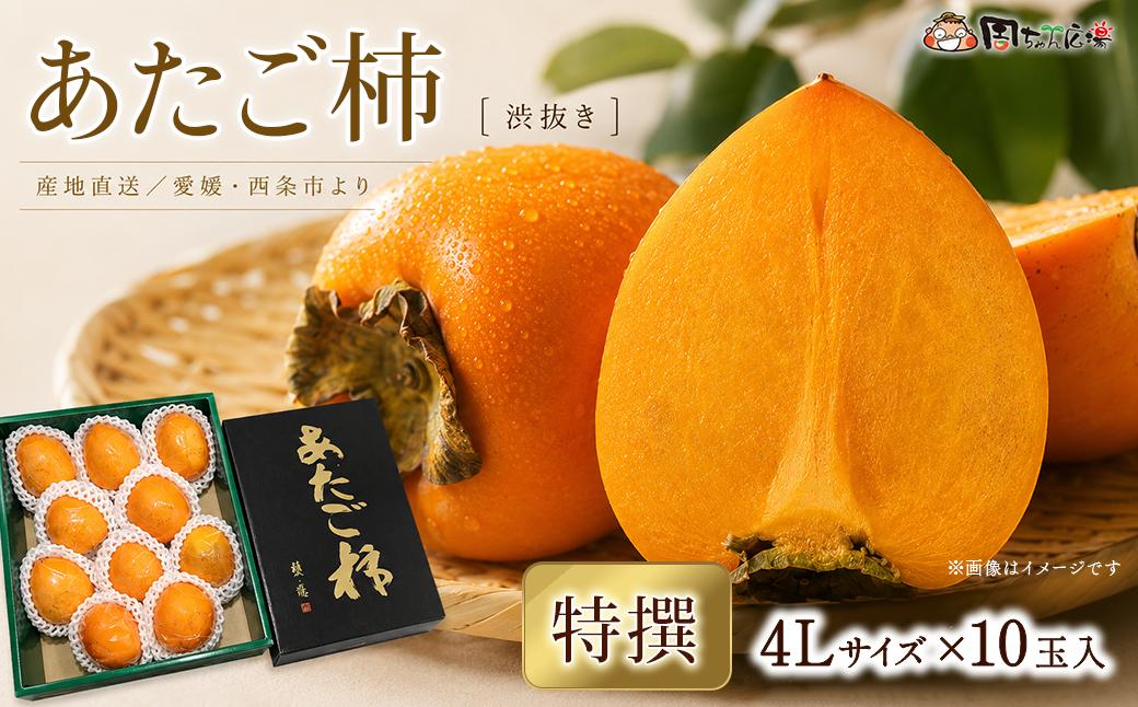 
                  柿 愛媛県西条市産 「あたご柿（渋抜き）」（JA周桑） 特撰4Lサイズ×10玉入り 【先行予約】 【2026年12月発送】 周ちゃん広場 ｜  フルーツ 柿 かき カキ 果物 渋抜き柿 産地直送 秋の味覚 旬 愛媛県 西条市 送料無料
                