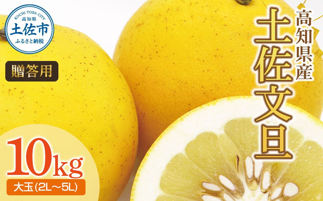 
                  【先行予約】土佐文旦（大玉：2L~5L 混合）約10kg 〈2027年2月中旬〜発送〉/ 土佐文旦発祥の地 産地直送 家庭用 贈答用 文旦 10キロ 約14～21玉 大玉 特大 3l 4l ぶんたん ブンタン【株式会社とさもん】 [BQAE030]
                
