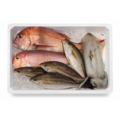 ふるさと納税 八幡浜市 【目利き厳選】八幡浜直送天然鮮魚ボックス　有田鮮魚店・市場仕込み(3kg以上)【F93-1】