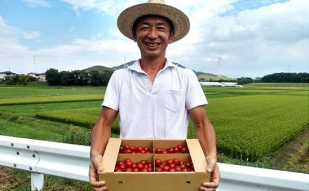 【EM栽培】ミニトマト キャロル10 約3kg ／ ひまわりガーデン 産地直送 農家直送 野菜 新鮮