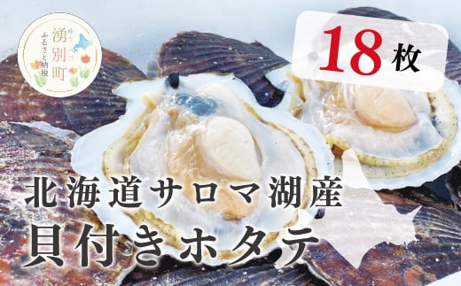 
【国内消費拡大求む】[№5930-0246]<先行予約2024年11月から発送>北海道サロマ湖産　貝付きホタテ18枚　ほたて　帆立　刺身　海鮮　魚介　貝付き　冷蔵　サロマ湖　オホーツク　おほーつく　湧別町　北海道
