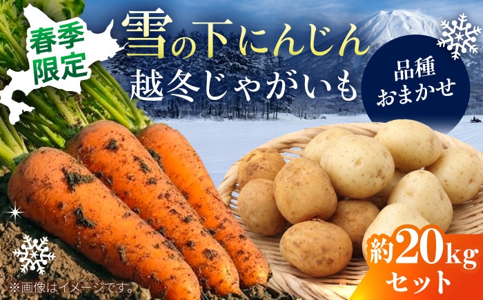
                  【2027年3月下旬以降順次発送】 雪の下にんじんと越冬じゃがいもセット 計20kg （じゃがいも種類おまかせ） |  野菜セット 野菜 野菜詰め合わせ セット にんじん じゃがいも 先行予約 | 道の駅 真狩フラワーセンター [BPAM031]
                