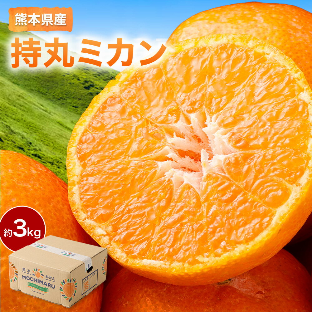【ふるさと納税】熊本県産持丸ミカン 約3キロ みかん 蜜柑 柑橘 フルーツ くだもの 果物 果実 温州みかん 【2023年野菜ソムリエ協会主催のミカン選手権金賞】 九州 熊本県 送料無料 【2026年11月下旬発送開始】