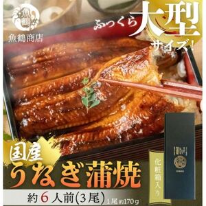 大型サイズ　ふっくら柔らか国産うなぎ蒲焼き　3尾【配送不可地域：離島】【1216737】