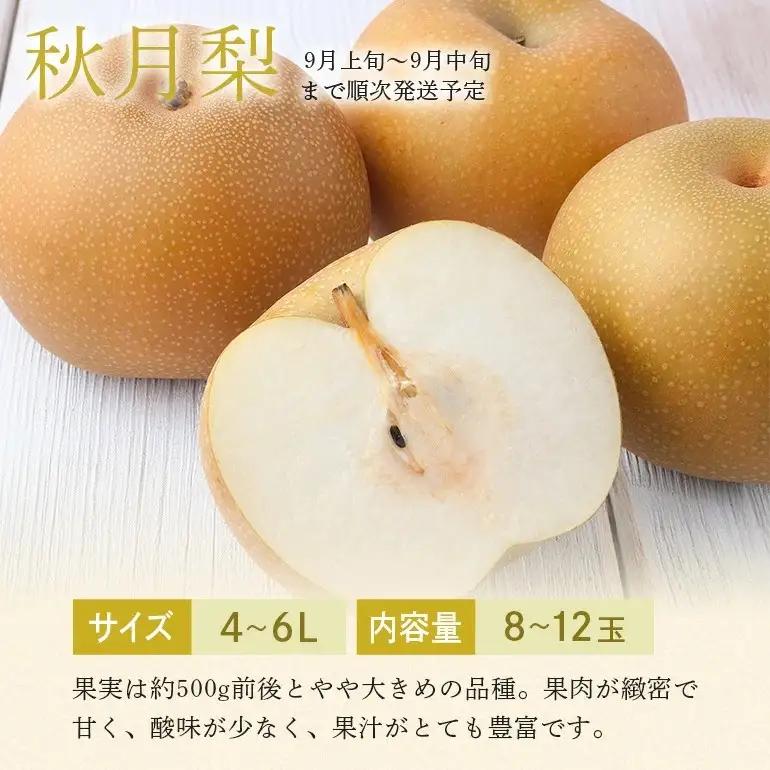 秋月梨 箱込約 5kg（JA新ひたち野）梨 約 8玉 ～12玉 (B01-002)
