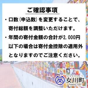 【返礼品なし】女川町への応援寄附(一口1,000円)