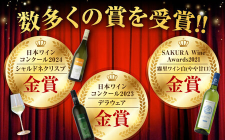 霧里ワイン＆TOMOEワイン おすすめ６本セット ワイン 受賞 飲み比べ ワインセット ギフト 三次市 / 広島三次ワイナリー[APAZ036]